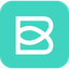 Bleam Logo